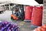 Guy's Freight Lifts Hard Produce With Toyota Guy's Freight Lifts Hard Produce With Toyota